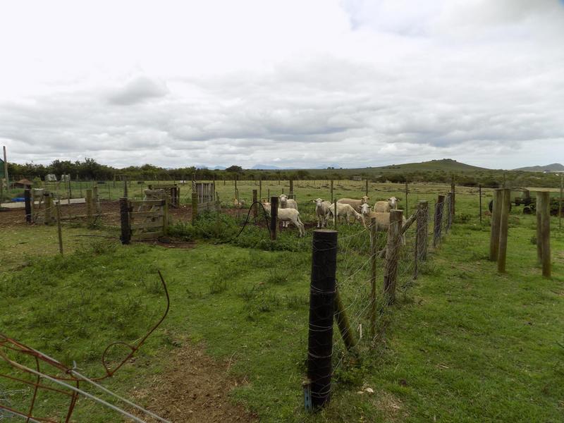 2 Bedroom Property for Sale in Mossel Bay Rural Western Cape